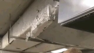권총 반동 때문에 하마터면 죽을 뻔한 사람.mp4...