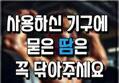썸네일 이미지