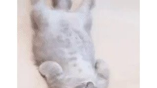꼼꼼한 마사지에 만족한 손님