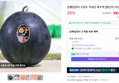 고당도 흑수박