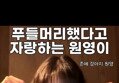 썸네일 이미지