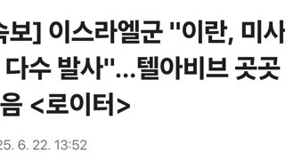 [속보] 이스라엘군 