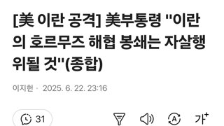 美부통령 