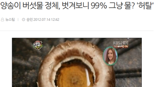 양송이 버섯물의 정체