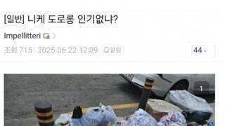 한국에서 벌어진 도로롱 구출작전