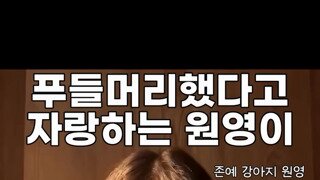 푸들머리 자랑하는 원영이