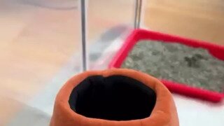 설윤