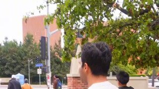 USC 다니는 역사학생 테스트