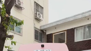 요즘 물총 근황
