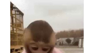 원숭이도 거르는 과일 부위