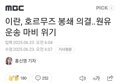 썸네일 이미지