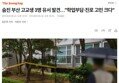 썸네일 이미지