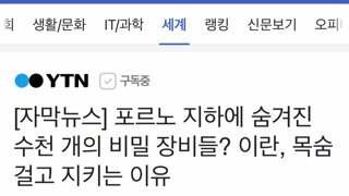 포르노를 지켜야 한다