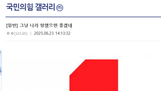 어느 2찍이의 소원
