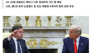 트럼프가 나토오라는데 안가면어케됨??