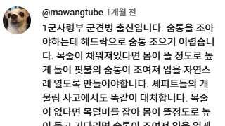 개물림 사고
