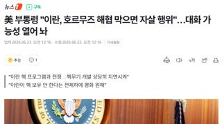 美 부통령 