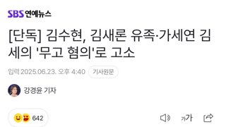 [단독] 김수현, 김새론 유족·가세연 김세의 '무고 혐의'로 고소