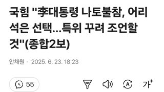 국힘 