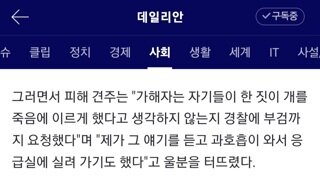 거제에서 개들한테 비비탄 난사를 한 사건 근황