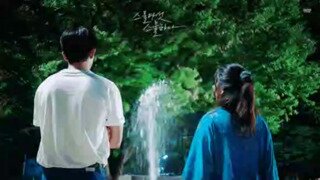 청춘의 풋풋한 색감