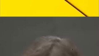 이정권을 쥐고 흔들겠다는 검찰.mp4