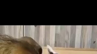 어쩌다 이 놈을 사랑하게 되었을까