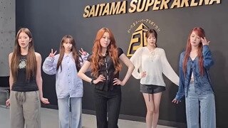 가짜 막내 김채원 진짜 막내 홍만채