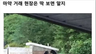 마약거래 현장은 딱 보면 알지