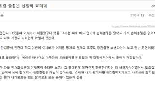 펨코 지능 수준