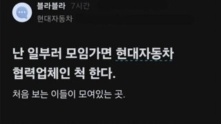 현대차 블라인드 체크메이트!