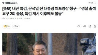 내란 특검 - 내란 수괴 체포 영상 청구 /석열아 체포 2번 당하자 ㅋㅋㅋㅋ