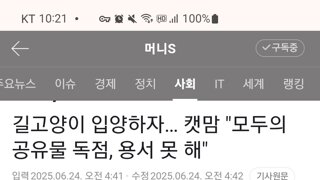 길고양이 입양하자, 캣맘 