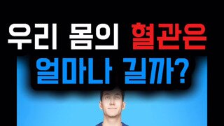 사람 몸 안에 들어있는 혈관의 길이