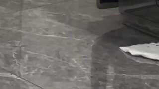 토끼랑 친해지고 싶은 앵무새