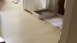 덕배가 삐졌다.mp4...