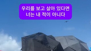 미국 최정예 전투기들