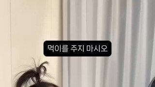 아빠 먹이주는 아기 야자수