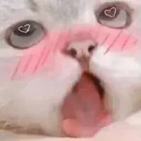 스티커 이미지