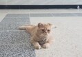 썸네일 이미지