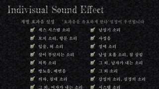대체 무슨 게임옵션 일까