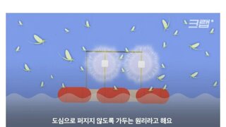 요즘 수도권에서 하루살이 많이 줄은 이유