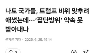 나토 국가들, 트럼프 비위 맞추려 애썼는데···‘집단방위’ 약속 못 받아내나