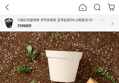 탄소중립 목분 화분+받침대 3개set