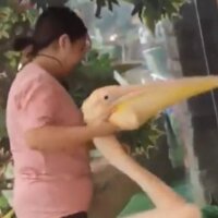 스티커 이미지