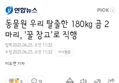 썸네일 이미지