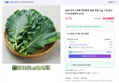 쌈용케일 1kg