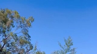 후방 엉덩이가 출렁출렁