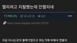 썸네일 이미지