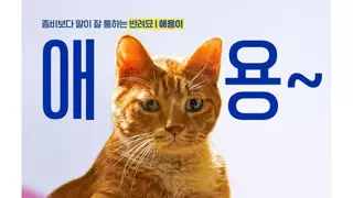 썸네일 이미지